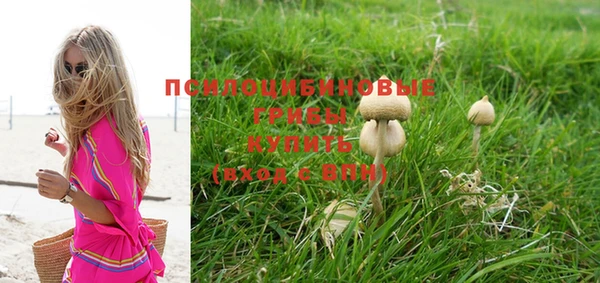 прущий лед Балахна