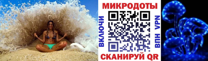 мориарти какой сайт Ленск Галлюциногенные грибы Psilocybe